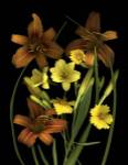 Lilies & Coreopsis by Susan Barmon