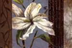 Lily In Bloom by Lanie Loreth