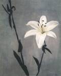 Lily on Grey by T.C. Chiu
