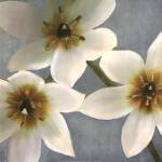 Lily Parfait I by Janel Pahl