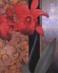 Lily Red/Teal Damasque by Tan Chun