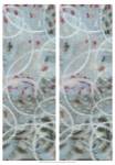Linked Layers IV by Karen Deans
