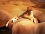 Lioness On A Rock 2 by Ata Alishahi