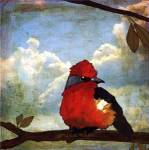 Little Bird I - mini by Angela Moulton