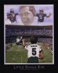 Little Eagle Eye - Donovan McNabb by Harrison Woods