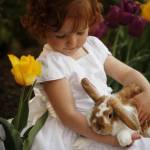 Little Girl And Bunny by Tanya Hovey