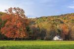 Little House In The Fall by Galloimages Online