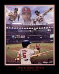 Little Red Bird - Albert Pujols by Harrison Woods