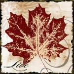 Live Leaf by John Spaeth