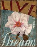 Live Your Dreams by Kelly Donovan