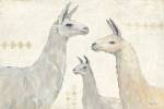 Llama Land IV by Avery Tillmon