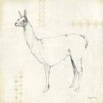 Llama Land VIII by Avery Tillmon