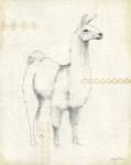 Llama Land XI by Avery Tillmon