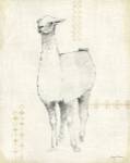 Llama Land XII by Avery Tillmon