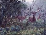 Lone Star Whitetail by John Banovich