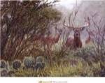 Lone Star Whitetail by John Banovich