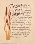 Lord Is My Shepard by Carol Tribou
