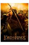 Lord of the Rings: Return of the King