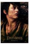 Lord of the Rings: the Return of the Kin