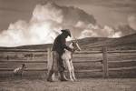 Lost n Found by Barry Hart