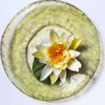 Lotus Flower by Buttenbender szkudlarek