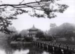 Lotus Pavillion II by Monte Nagler