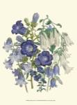 Loudon Florals I by Jane W. Loudon