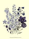 Loudon Florals IV by Jane W. Loudon
