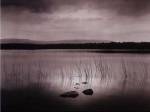 Lough Bunny by John Wimberley
