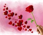 Love by Ata Alishahi