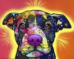Love A Bull by Dean Russo