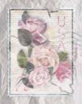 Love Letter Roses by Alma Lee