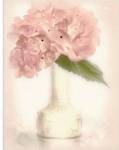 Lovely Hydrangea by Donna Geissler