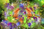 Lover Birds M2 by Ata Alishahi