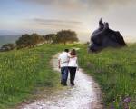 Lovers Walk by Ata Alishahi
