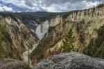Lower Falls YNP Grand Canyon by Galloimages Online