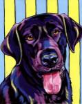 Lucky by Sally Evans