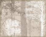 Luminous I by Pela and Silverman