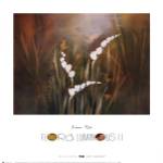 Lun Tse - Flora Luminous II Size 26x19.125 by Lun Tse