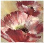 Lush Poppy by Brent Heighton