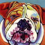 Maggie by Sally Evans