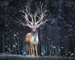 Magical Deer by Ata Alishahi