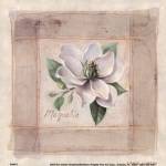 Magnolia by Lanie Loreth