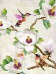 Magnolia and Humming Birds by Terry Wang