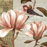 Magnolia Collage I by Pamela Gladding