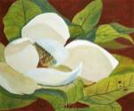 Magnolia I by George Caso
