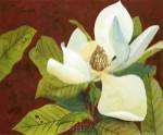 Magnolia II by George Caso