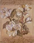 Magnolia l by Shari White