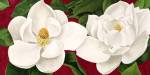 Magnolie in Fiore by Luca Villa