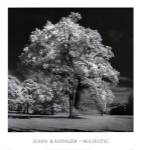 Majestic by John Kasinger